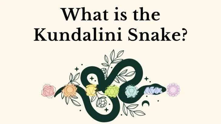 What Is the Kundalini Snake?
